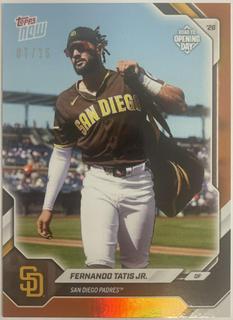Fernando Tatis Jr.