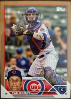 Yan Gomes