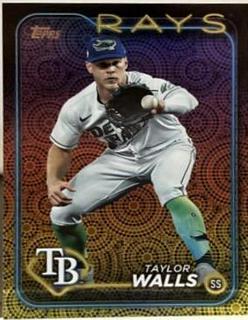 Taylor Walls