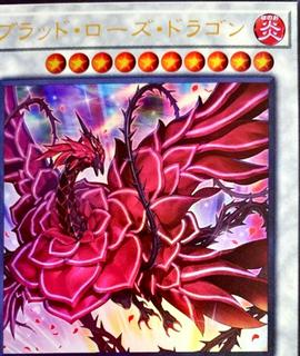 Ruddy Rose Dragon LIOV-JP035