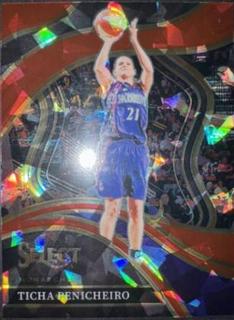 Ticha Penicheiro