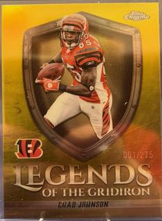 Chad Johnson
