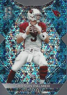 Carson Palmer