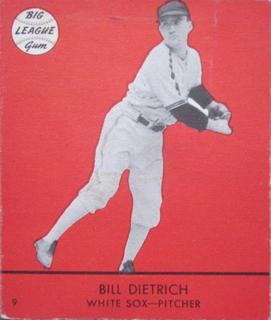Bill Dietrich