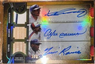 Andre Dawson / Vladimir Guerrero / Tim Raines