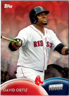 David Ortiz