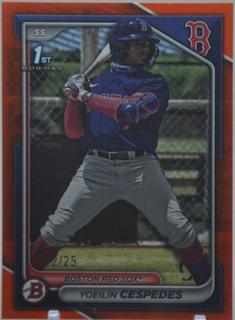 Yoeilin Cespedes