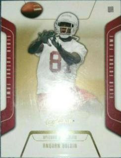 Anquan Boldin