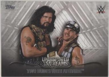 Two Dudes With Attitude #UTT-34 Wrestling Cards 2016 Topps WWE Undisputed Tag Teams