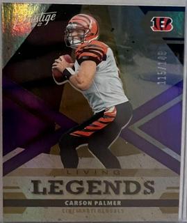 Carson Palmer