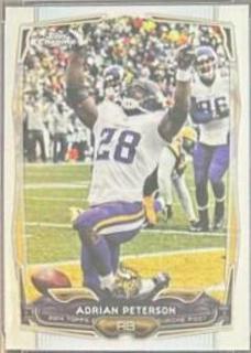 Adrian Peterson