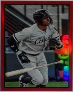 Luis Robert