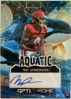 Nic Anderson