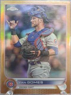 Yan Gomes