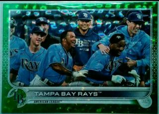 Tampa Bay Rays