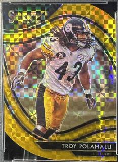 Troy Polamalu