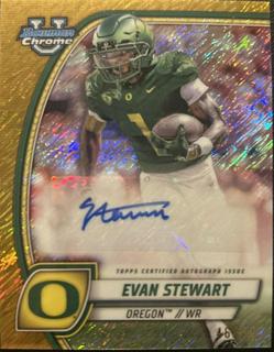 Evan Stewart