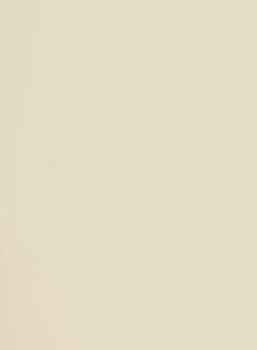 Lewis Cine