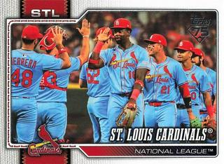 Team Card