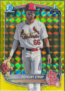 Royelny Strop