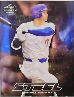 Shohei Ohtani