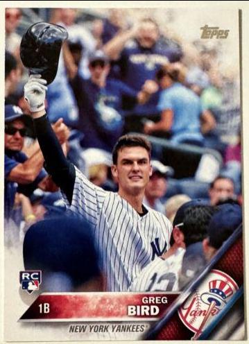 Greg Bird [Tipping Helmet] #188