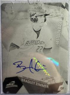 Bradley Zimmer