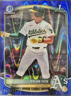 Dylan Fien