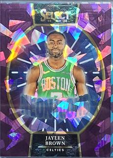 Jaylen Brown