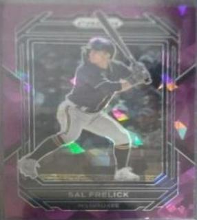 Sal Frelick