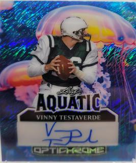 Vinny Testaverde