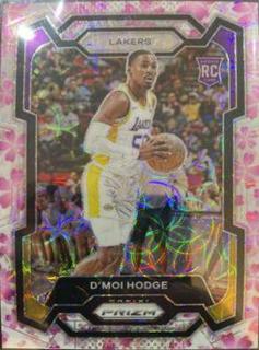 D'Moi Hodge