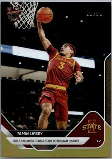 Tamin Lipsey