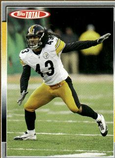 Troy Polamalu