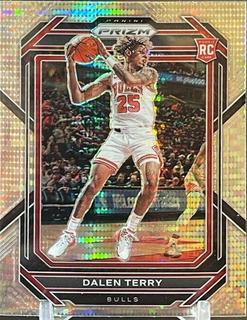 Dalen Terry