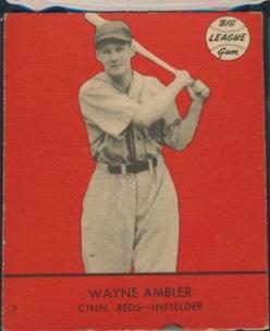 Wayne Ambler