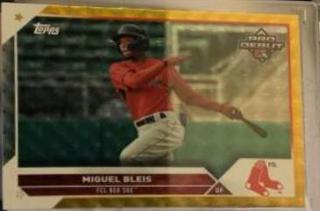 Miguel Bleis