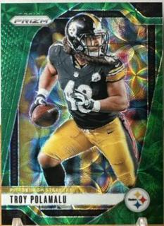 Troy Polamalu