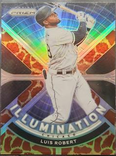 Luis Robert