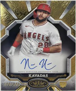Niko Kavadas