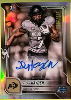 Dallan Hayden