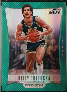 Kelly Tripucka