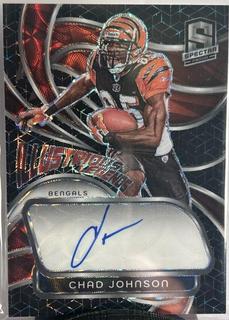 Chad Johnson