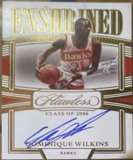Dominique Wilkins