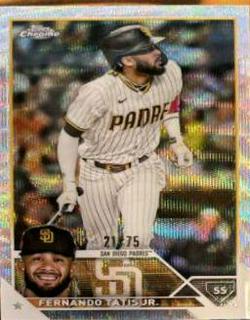 Fernando Tatis Jr.