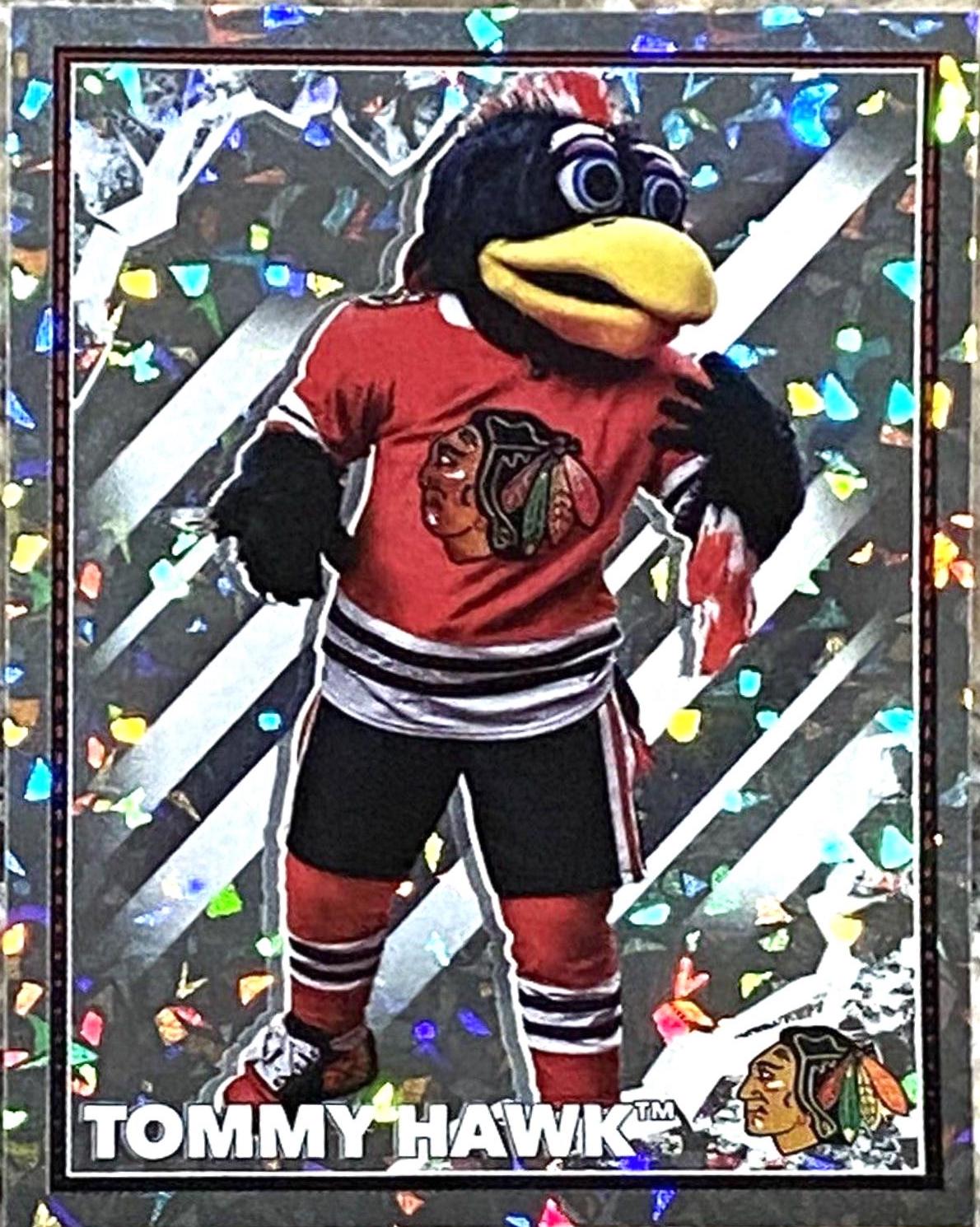 Tommy Hawk #105 Hockey Cards 2022 Topps NHL Sticker