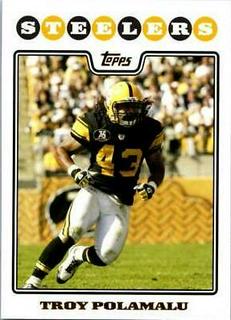 Troy Polamalu