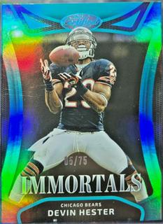 Devin Hester