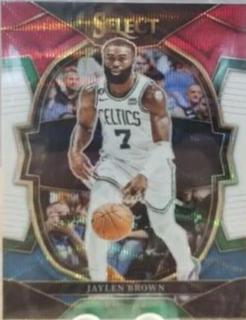 Jaylen Brown
