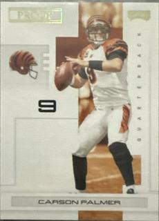 Carson Palmer